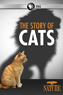猫科动物的故事(2016)海报