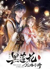 黑莲花攻略手册第二季(2024)海报