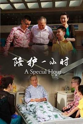 陪护一小时(2011)海报