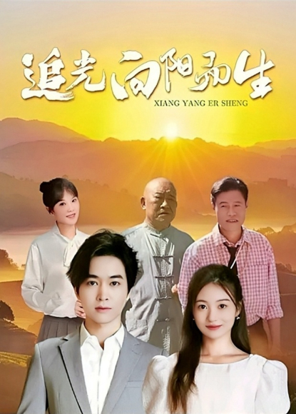 追光向阳而生海报
