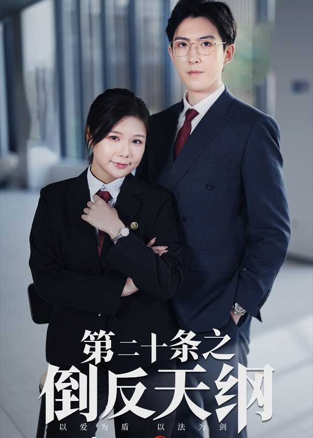 第二十条之倒反天纲海报