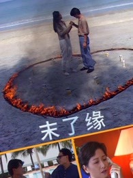 末了缘(1995)海报