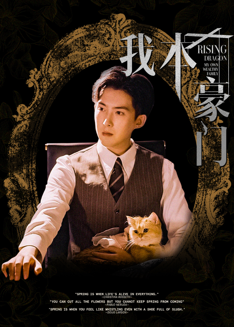 我本豪门海报