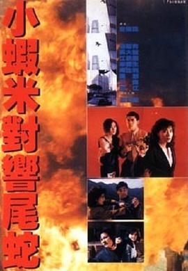 皇家师姐5中间人粤语(1990)海报