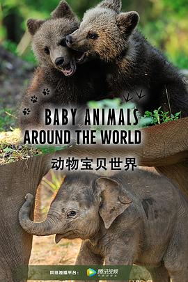 动物宝贝世界(2017)海报