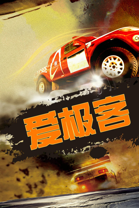 爱极客(2015)海报