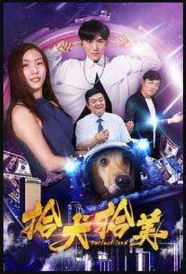 拾犬拾美(2018)海报