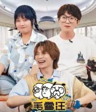 毛雪汪 加更版(2021)海报