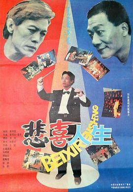 悲喜人生1991(1991)海报