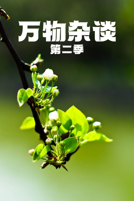 万物杂谈第二季(2023)海报