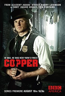 纽约警察故事第一季(2012)海报