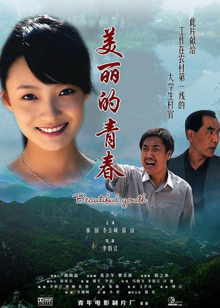 美丽的青春(2010)海报