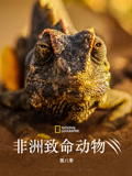 非洲致命动物第八季(2025)海报