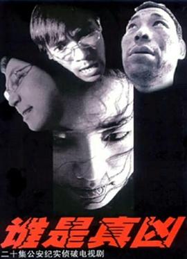 谁是真凶(2005)海报