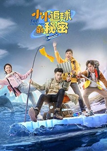 小小追球的秘密(2019)海报