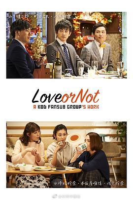 Love or Not(2017)海报