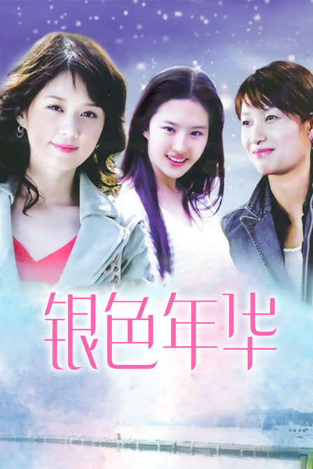 银色年华(2014)海报