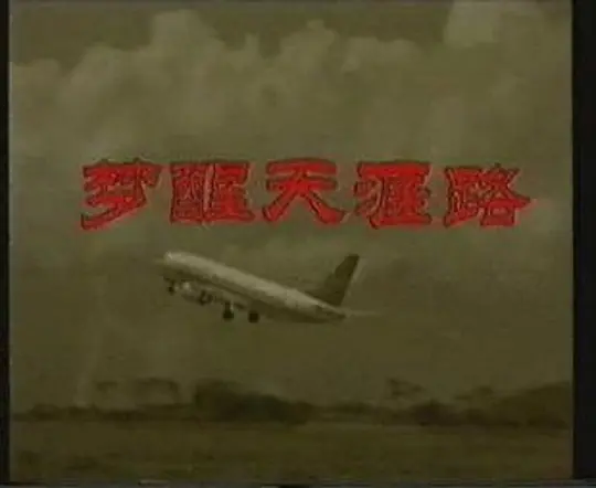 梦醒天涯路(1995)海报