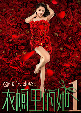 衣橱里的她1(2018)海报