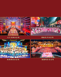 2024春晚分会场春节特别节目(2024)海报