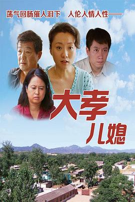 大孝儿媳(2011)海报