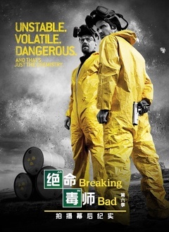 绝命毒师 第六季 幕后纪实(2022)海报