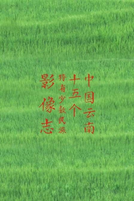中国云南十五个特有少数民族影像志(2024)海报
