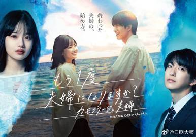 再做一次夫妇的夫妇(2026)海报